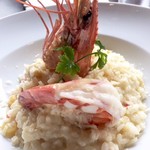 Miramar Garden - 車海老のリゾット
            