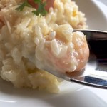 Miramar Garden - クリーミー