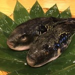 Kanazawa Yaki Fugu Yume Teppou - 