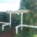 Green World Coffee Farm - コーヒー畑見れます