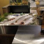 大和屋 音次郎 - カウンター内にはこれから捌かれるのを待っているまるまると大きな魚に
