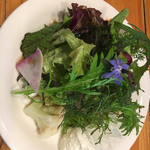 チーズハウス ヤルゴイ - 自家製ハーブなどのサラダ