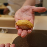 寿しの吉乃 - むらさきうに