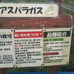 くるるの杜 農村レストラン - 【2010年10月】体験農場のアスパラガス。