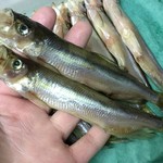 和バル　kachisara - 