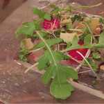 テーブルナナ - 