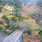 山中温泉　花紫 - 窓から見える景色
