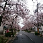 Washoku Samasama - 毎年桜の時期は、とても綺麗で満杯です！