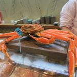 寿司栄 - 28年11月　加能蟹（雄ズワイ）