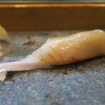 寿司栄 - 28年11月　トロ鰆　3日