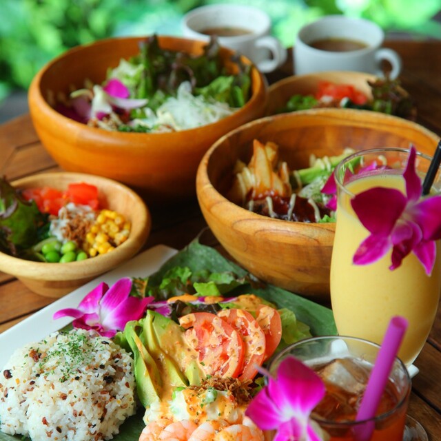 ランチメニュー ボラ ボラ 神戸三宮店 Bora Bora 三宮 神戸市営 カフェ 食べログ ランチメニュー ボラ ボラ 神戸三宮店 Bora Bora 三宮 神戸市営 カフェ 食べログ