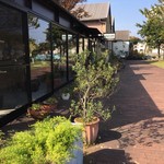 ミントカフェ - 