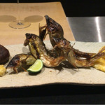 日本料理 晴山 - 