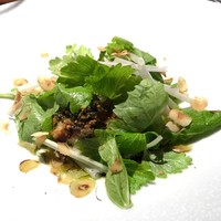 TACUBO - 