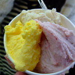 イタリアンジェラート　チェルキオ - 赤崎イチゴ、沢野ゴボウ、能登カボチャ