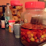 楽山 - 色んな果実酒