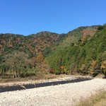 京趣味 菱岩 - 紅葉