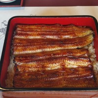 鰻割烹 伊豆栄 不忍亭 - 鰻重　竹　3780円