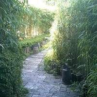 九つ井 本店 - 