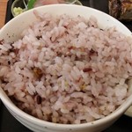 ハラス屋 - カツオのハラス焼き定食