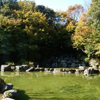 洋食レストラン カメリア - 窓から見える風景♡