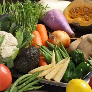 引き続き人気の新鮮野菜メニュー