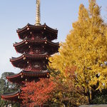 珈琲茶房　餅陣　住吉 - 紅葉が綺麗でした