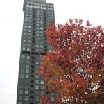 ◆レトロハイマート（高層マンション）秋の景色