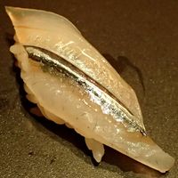 神戸・鮨かねさか - 