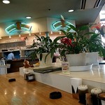 店内カウンター席、かなり広く使えます。