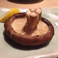 鳥と手打ち蕎麦 とり数寄 東急プラザ銀座店 - 