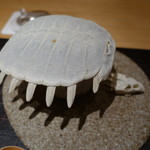 すっぽんスープ