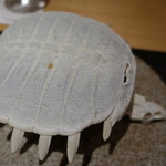 神保町 傳 - すっぽんスープ