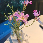 レフェルヴェソンス - 