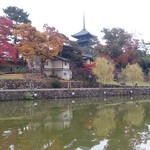 大松 - 猿沢の池から、興福寺五重の塔♪