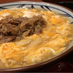 Marugame Seimen - 肉たまあんかけうどん590円