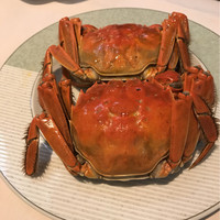 潮夢来 - 