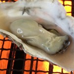 Mamejirou No Hamayaki Oukoku - 焼き牡蠣セット