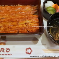 入谷鬼子母神門前のだや - きょうすい鰻重