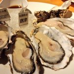 oyster&wine kitchen K - 