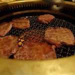 SATOブリアン - 2016/10_タン