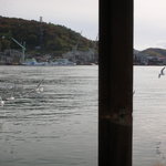 魚信旅館 - お部屋からすぐ海です