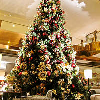 ロビーラウンジ 「マーブルラウンジ」 ヒルトン東京 - クリスマス時期です