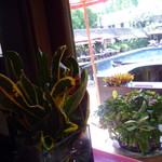 Ruen Tamarind - プールが見えるの