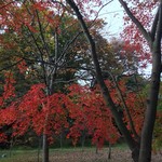 LOCRONAN  - 浄真寺