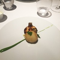 レフェルヴェソンス - 
