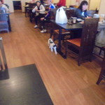 中国料理 王記 - 店内（可愛い子猫のお見送り）