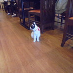 中国料理 王記 - 店内（可愛い子猫のお見送り）