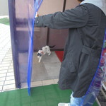 中国料理 王記 - 可愛い子猫のお見送り