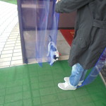 中国料理 王記 - 可愛い子猫のお見送り